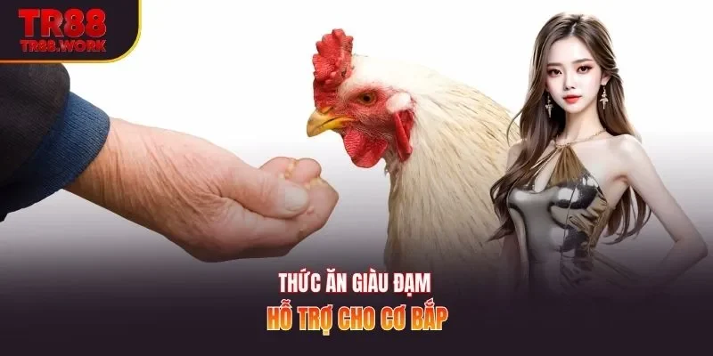 Thức ăn giàu đạm hỗ trợ cho cơ bắp