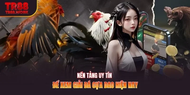 Nền tảng uy tín để xem giải đá cựa dao hiện nay
